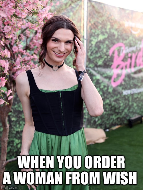 Fake Woman | WHEN YOU ORDER A WOMAN FROM WISH | image tagged in funny | made w/ Imgflip meme maker