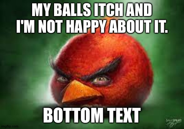 My brother wanted to make a meme lol | MY BALLS ITCH AND I'M NOT HAPPY ABOUT IT. BOTTOM TEXT | image tagged in realistic red angry birds | made w/ Imgflip meme maker