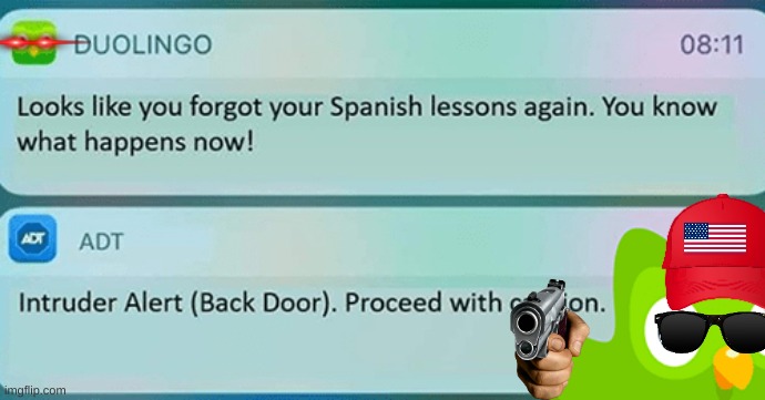 Duolingo is a angery bird | image tagged in duolingo is a angery bird | made w/ Imgflip meme maker