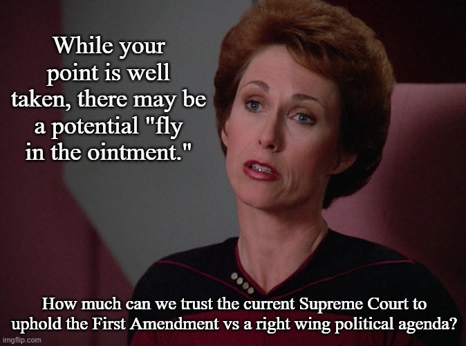 Phillipa Louvois | While your point is well taken, there may be a potential "fly in the ointment." How much can we trust the current Supreme Court to uphold th | image tagged in phillipa louvois | made w/ Imgflip meme maker