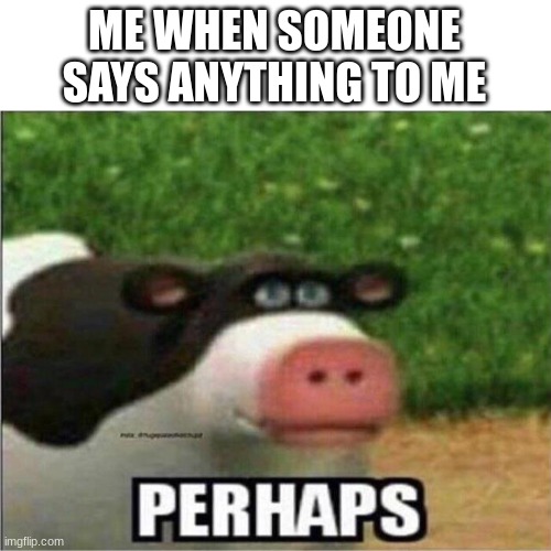 this cow is funny for no reason fr | ME WHEN SOMEONE SAYS ANYTHING TO ME | image tagged in perhaps cow | made w/ Imgflip meme maker