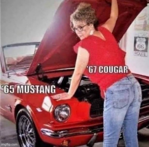 Car humor | image tagged in bad pun | made w/ Imgflip meme maker