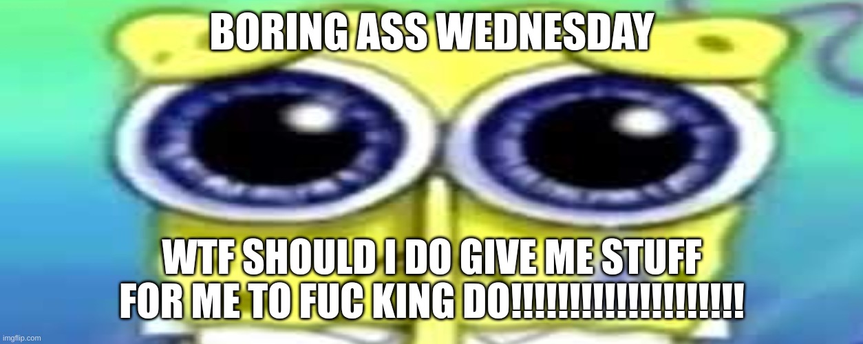 Sad Spong | BORING ASS WEDNESDAY; WTF SHOULD I DO GIVE ME STUFF FOR ME TO FUC KING DO!!!!!!!!!!!!!!!!!!!! | image tagged in sad spong | made w/ Imgflip meme maker