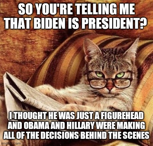 Figurehead President | SO YOU'RE TELLING ME THAT BIDEN IS PRESIDENT? I THOUGHT HE WAS JUST A FIGUREHEAD AND OBAMA AND HILLARY WERE MAKING ALL OF THE DECISIONS BEHIND THE SCENES | image tagged in reading cat with glasses,funny memes | made w/ Imgflip meme maker