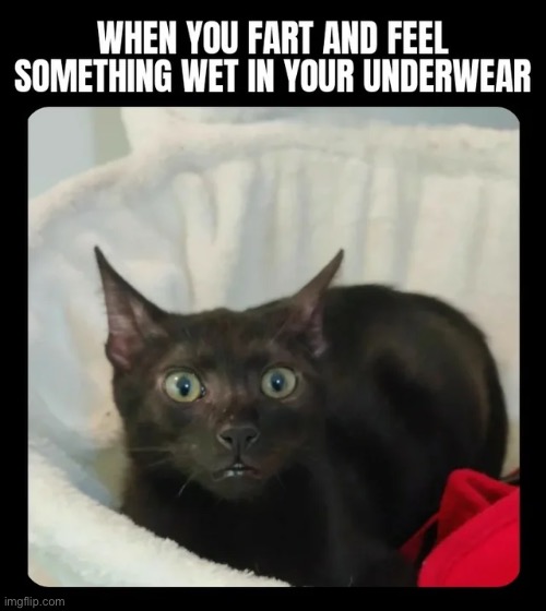 image tagged in memes | made w/ Imgflip meme maker