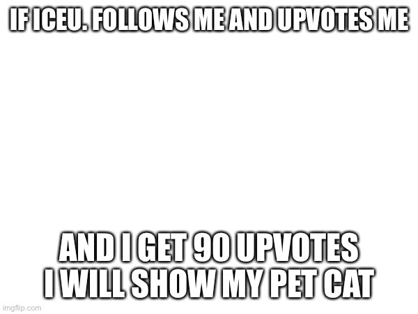 Don’t do this my cat ugly hint: he has no fur | IF ICEU. FOLLOWS ME AND UPVOTES ME; AND I GET 90 UPVOTES I WILL SHOW MY PET CAT | image tagged in iceu,upvotes | made w/ Imgflip meme maker