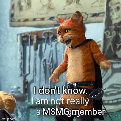 I’m not really a math guy | I don't know. MSMG member | image tagged in i m not really a math guy | made w/ Imgflip meme maker