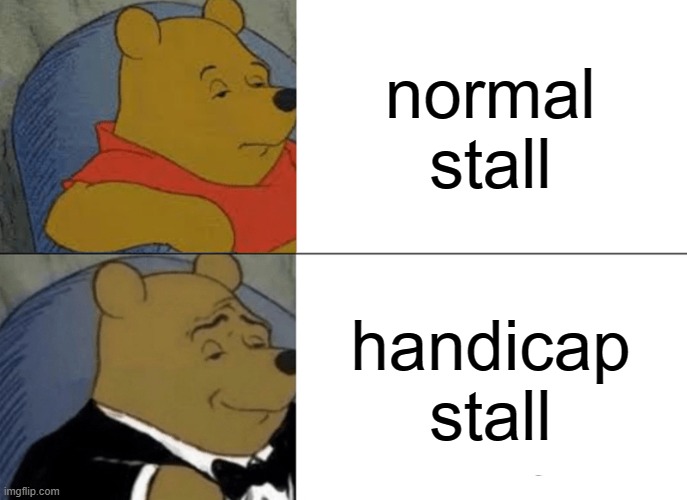 why so true | normal stall; handicap stall | image tagged in memes,tuxedo winnie the pooh | made w/ Imgflip meme maker