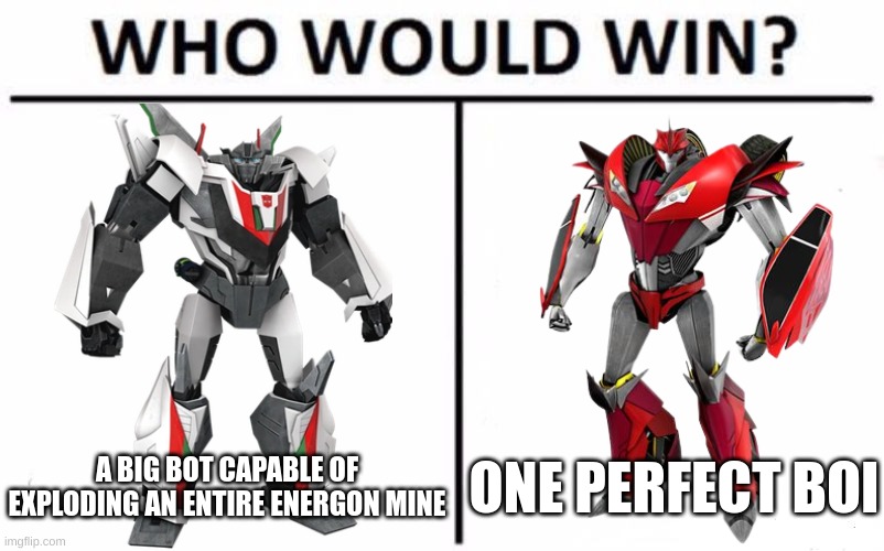 Who would win? | A BIG BOT CAPABLE OF EXPLODING AN ENTIRE ENERGON MINE; ONE PERFECT BOI | image tagged in memes,who would win | made w/ Imgflip meme maker