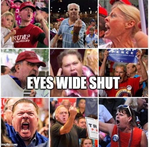 Blind Trump Supporters | EYES WIDE SHUT | image tagged in triggered trump supporters,trump supporters,maga republicans,red hat,donald trump | made w/ Imgflip meme maker