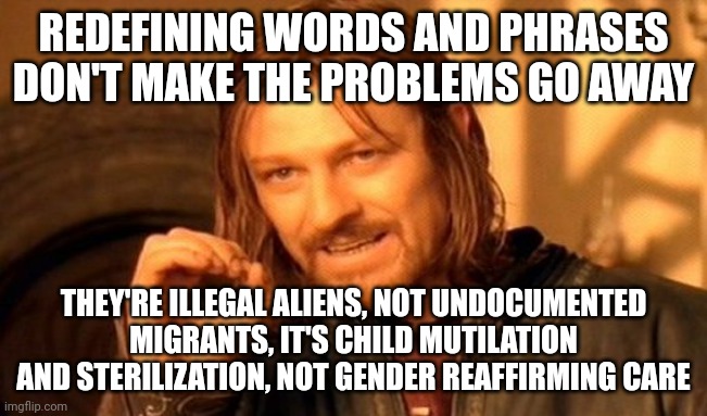 When you redefine words you get to make up all kinds of lies to "prove your point." That's not how it works. | REDEFINING WORDS AND PHRASES DON'T MAKE THE PROBLEMS GO AWAY; THEY'RE ILLEGAL ALIENS, NOT UNDOCUMENTED MIGRANTS, IT'S CHILD MUTILATION AND STERILIZATION, NOT GENDER REAFFIRMING CARE | image tagged in memes,one does not simply | made w/ Imgflip meme maker