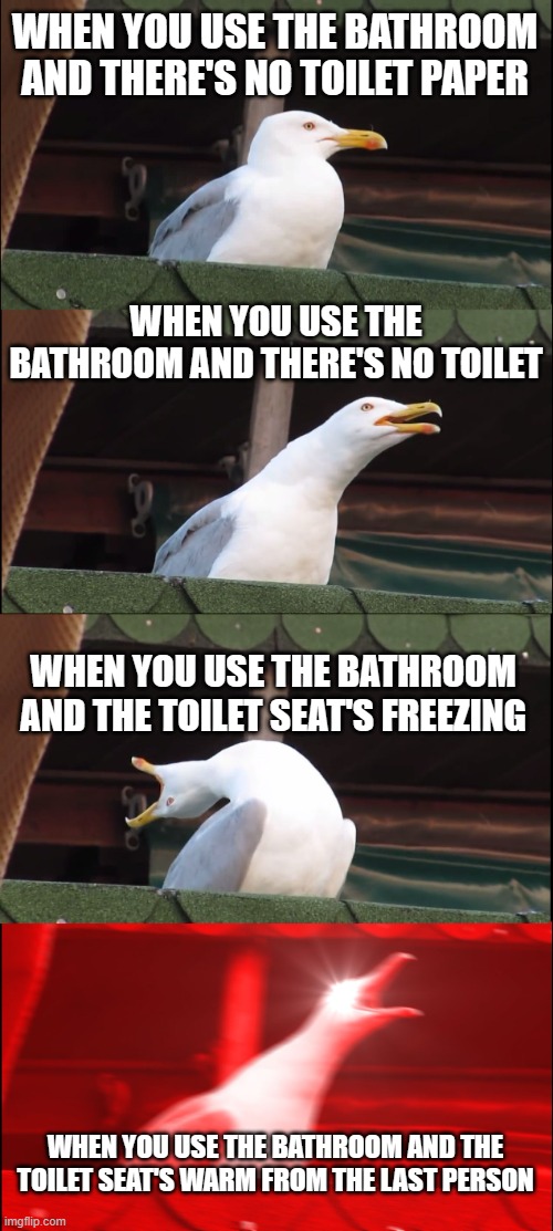Inhaling Seagull Meme | WHEN YOU USE THE BATHROOM AND THERE'S NO TOILET PAPER; WHEN YOU USE THE BATHROOM AND THERE'S NO TOILET; WHEN YOU USE THE BATHROOM AND THE TOILET SEAT'S FREEZING; WHEN YOU USE THE BATHROOM AND THE TOILET SEAT'S WARM FROM THE LAST PERSON | image tagged in memes,inhaling seagull | made w/ Imgflip meme maker