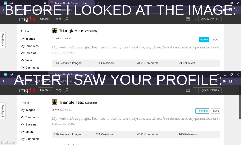 BEFORE I LOOKED AT THE IMAGE: AFTER I SAW YOUR PROFILE: | made w/ Imgflip meme maker