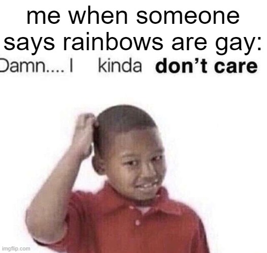 damn i kinda dont care | me when someone says rainbows are gay: | image tagged in funny,memes,memes_overload,damn i kinda dont care,fun,rainbow | made w/ Imgflip meme maker