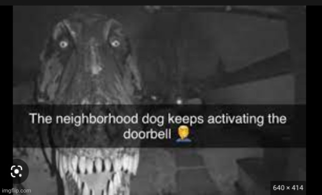 Ohio Dog Imgflip