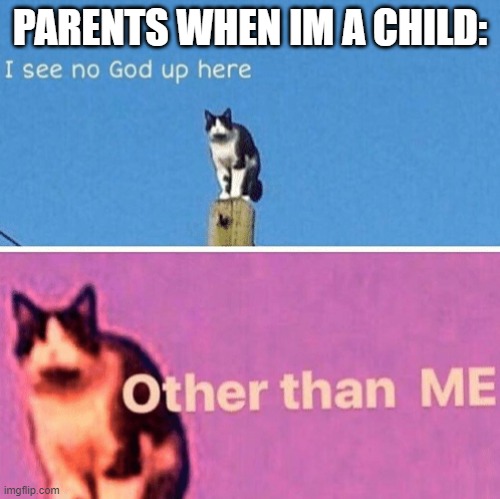 Hail pole cat | PARENTS WHEN IM A CHILD: | image tagged in hail pole cat | made w/ Imgflip meme maker