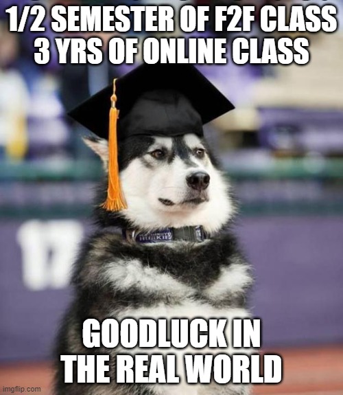 Graduate Dog | 1/2 SEMESTER OF F2F CLASS
3 YRS OF ONLINE CLASS; GOODLUCK IN THE REAL WORLD | image tagged in graduate dog | made w/ Imgflip meme maker