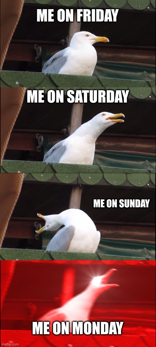 me on different days | ME ON FRIDAY; ME ON SATURDAY; ME ON SUNDAY; ME ON MONDAY | image tagged in memes,inhaling seagull | made w/ Imgflip meme maker