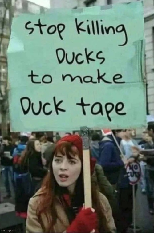 Stop killing ducks | image tagged in duck tape,protester,stop duck killing,animal rights | made w/ Imgflip meme maker