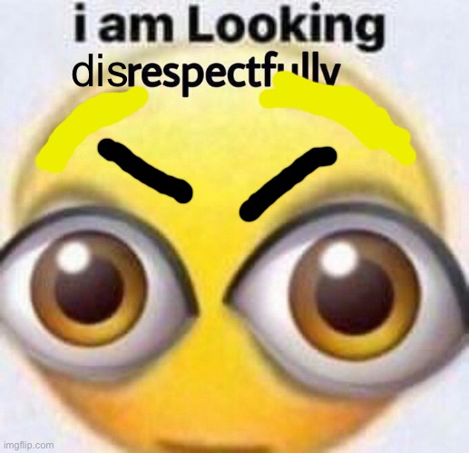 I am looking respectfully | dis | image tagged in i am looking respectfully | made w/ Imgflip meme maker