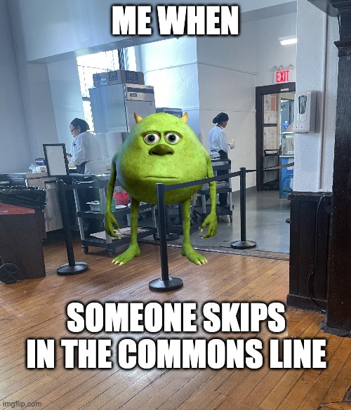ME WHEN; SOMEONE SKIPS IN THE COMMONS LINE | image tagged in school meme | made w/ Imgflip meme maker