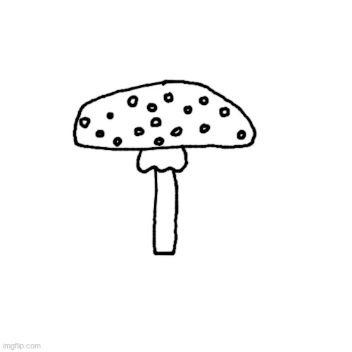 Fly Agaric | made w/ Imgflip meme maker