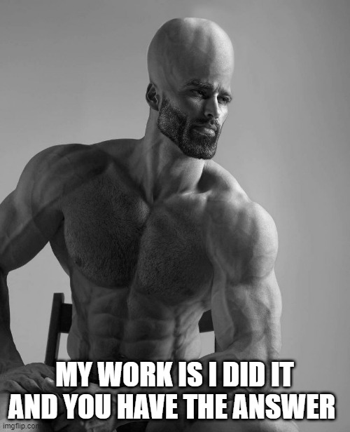 Intelligent Chad | MY WORK IS I DID IT AND YOU HAVE THE ANSWER | image tagged in intelligent chad | made w/ Imgflip meme maker