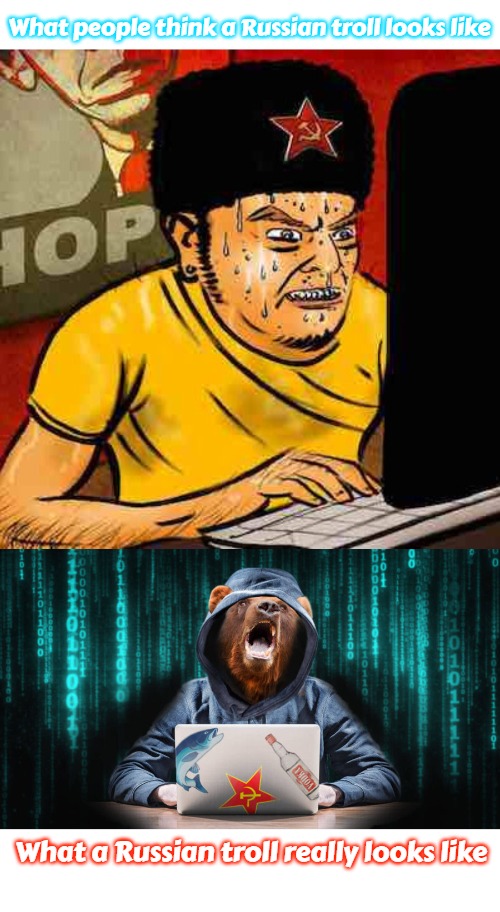Russian Hacker | What people think a Russian troll looks like; What a Russian troll really looks like | image tagged in slavic,russo-ukrainian war,bear,yugoslavia,troll | made w/ Imgflip meme maker