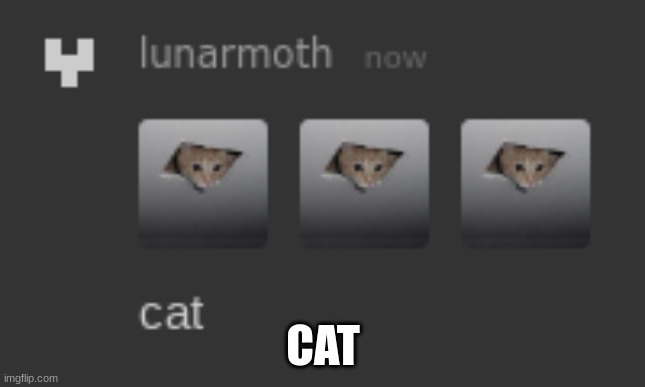 CAT | made w/ Imgflip meme maker