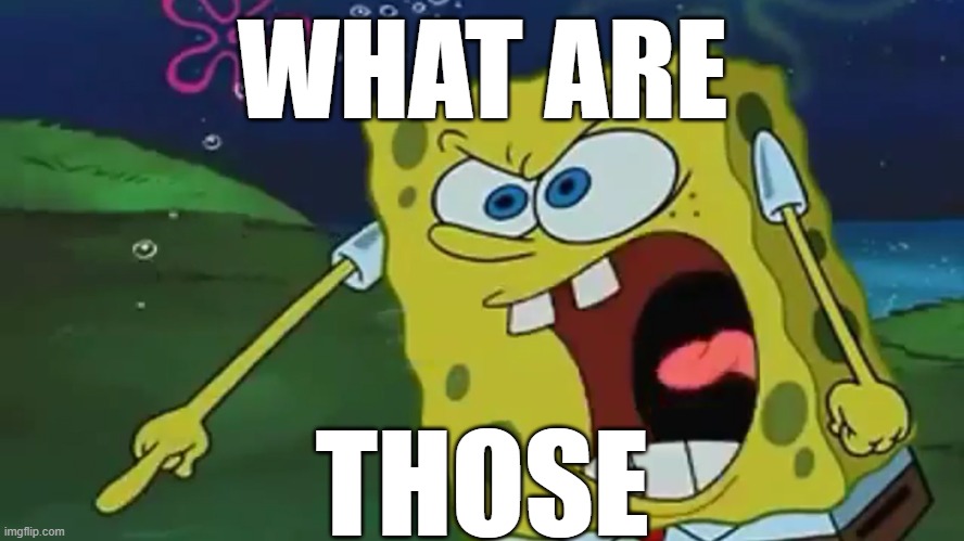 SpongeBob pointing | WHAT ARE; THOSE | image tagged in spongebob pointing | made w/ Imgflip meme maker