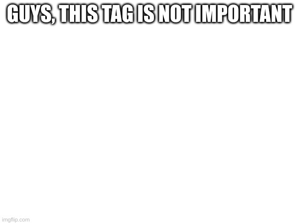 Use that tag. | GUYS, THIS TAG IS NOT IMPORTANT | image tagged in this tag is not important | made w/ Imgflip meme maker