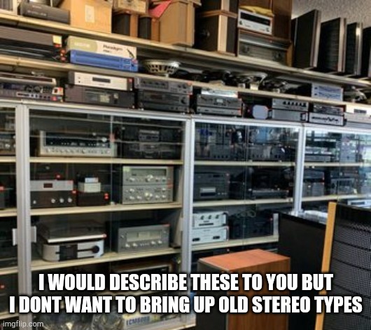 Oh yes | I WOULD DESCRIBE THESE TO YOU BUT I DONT WANT TO BRING UP OLD STEREO TYPES | image tagged in stereotypes | made w/ Imgflip meme maker