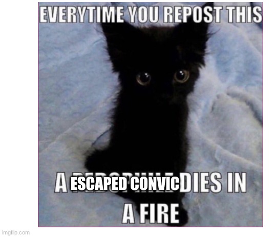 clever title | ESCAPED CONVIC | image tagged in memes | made w/ Imgflip meme maker