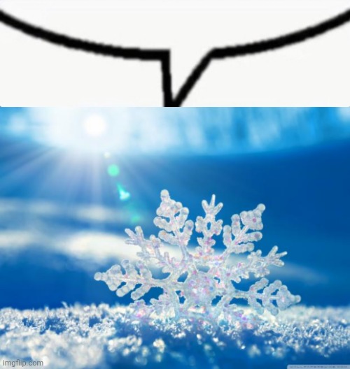 image tagged in speech bubble,snowflake | made w/ Imgflip meme maker