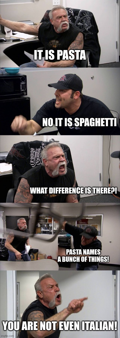 What is it though? | IT IS PASTA; NO IT IS SPAGHETTI; WHAT DIFFERENCE IS THERE?! PASTA NAMES A BUNCH OF THINGS! YOU ARE NOT EVEN ITALIAN! | image tagged in memes | made w/ Imgflip meme maker