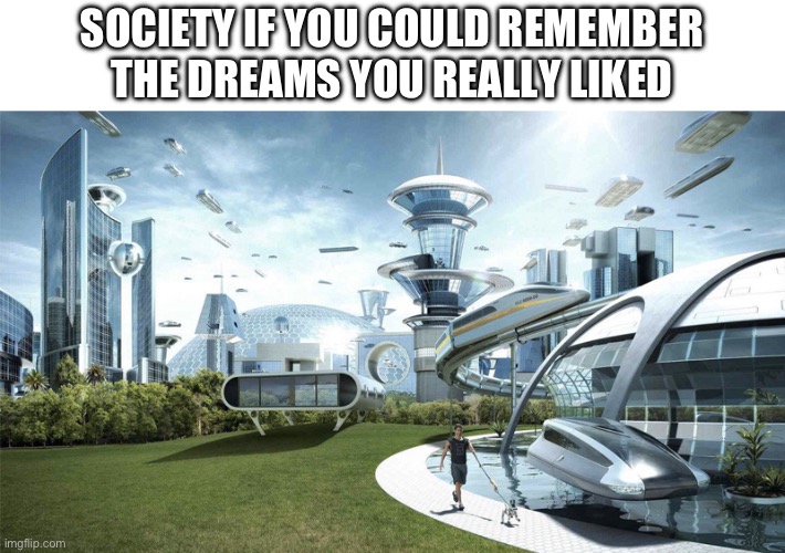 The future world if | SOCIETY IF YOU COULD REMEMBER THE DREAMS YOU REALLY LIKED | image tagged in the future world if | made w/ Imgflip meme maker