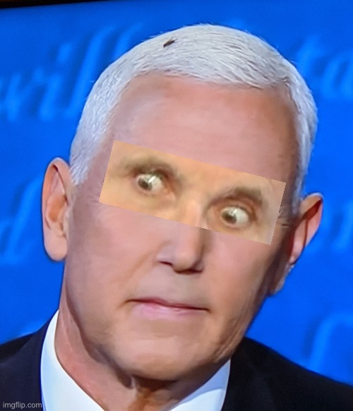 Mike Pence Fly | image tagged in mike pence fly | made w/ Imgflip meme maker