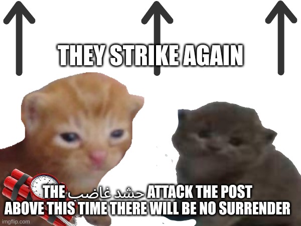 THEY STRIKE AGAIN; THE حشد غاضب ATTACK THE POST ABOVE THIS TIME THERE WILL BE NO SURRENDER | made w/ Imgflip meme maker
