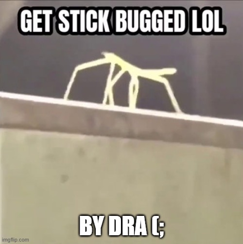 Get stick bugged lol | BY DRA (; | image tagged in get stick bugged lol | made w/ Imgflip meme maker