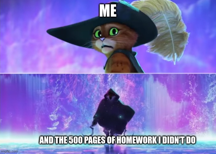homework | ME; AND THE 500 PAGES OF HOMEWORK I DIDN'T DO | image tagged in puss and boots scared | made w/ Imgflip meme maker