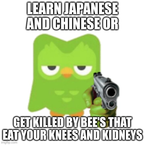 HERE'S DUOLINGO!!! | LEARN JAPANESE AND CHINESE OR; GET KILLED BY BEE'S THAT EAT YOUR KNEES AND KIDNEYS | image tagged in duolingo | made w/ Imgflip meme maker