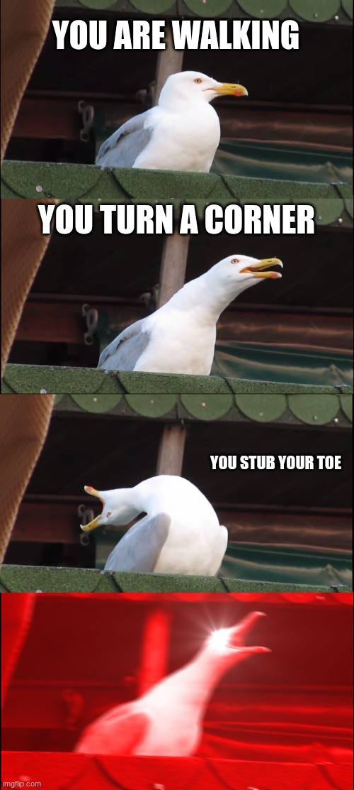 day 1 of doing meems on the first one to show up | YOU ARE WALKING; YOU TURN A CORNER; YOU STUB YOUR TOE | image tagged in memes,inhaling seagull | made w/ Imgflip meme maker