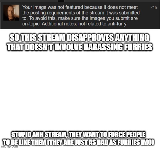 dumbass stream | SO THIS STREAM DISAPPROVES ANYTHING THAT DOESN'T INVOLVE HARASSING FURRIES; STUPID AHH STREAM, THEY WANT TO FORCE PEOPLE TO BE LIKE THEM (THEY ARE JUST AS BAD AS FURRIES IMO) | image tagged in blank white template | made w/ Imgflip meme maker
