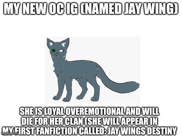 No powers :D | MY NEW OC IG (NAMED JAY WING); SHE IS LOYAL OVEREMOTIONAL AND WILL DIE FOR HER CLAN (SHE WILL APPEAR IN MY FIRST FANFICTION CALLED: JAY WINGS DESTINY | made w/ Imgflip meme maker