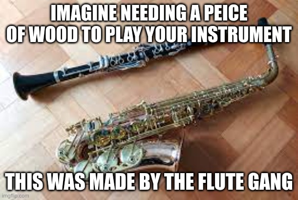 IMAGINE NEEDING A PEICE OF WOOD TO PLAY YOUR INSTRUMENT; THIS WAS MADE BY THE FLUTE GANG | made w/ Imgflip meme maker