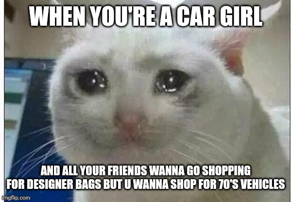 T^T | WHEN YOU'RE A CAR GIRL; AND ALL YOUR FRIENDS WANNA GO SHOPPING FOR DESIGNER BAGS BUT U WANNA SHOP FOR 70'S VEHICLES | image tagged in crying cat,cars,shopping,friends | made w/ Imgflip meme maker