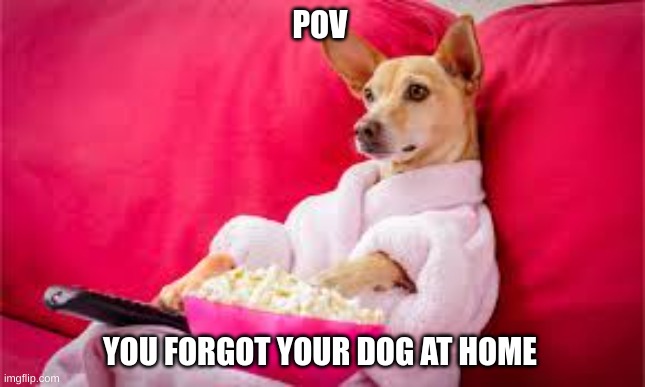 dog eating popcorn | POV; YOU FORGOT YOUR DOG AT HOME | image tagged in dog eating popcorn | made w/ Imgflip meme maker