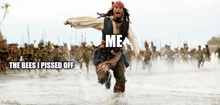 I really shouldn't have poked that beehive | ME; THE BEES I PISSED OFF | image tagged in jack sparrow being chased | made w/ Imgflip meme maker