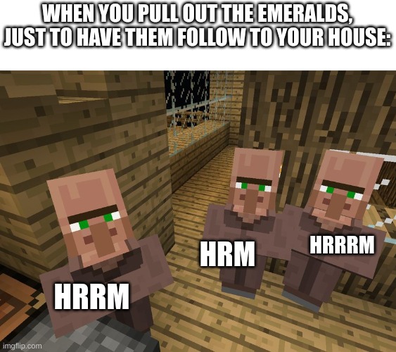 Minecraft village | WHEN YOU PULL OUT THE EMERALDS, JUST TO HAVE THEM FOLLOW TO YOUR HOUSE:; HRRRM; HRM; HRRM | image tagged in minecraft villagers,kiwi | made w/ Imgflip meme maker