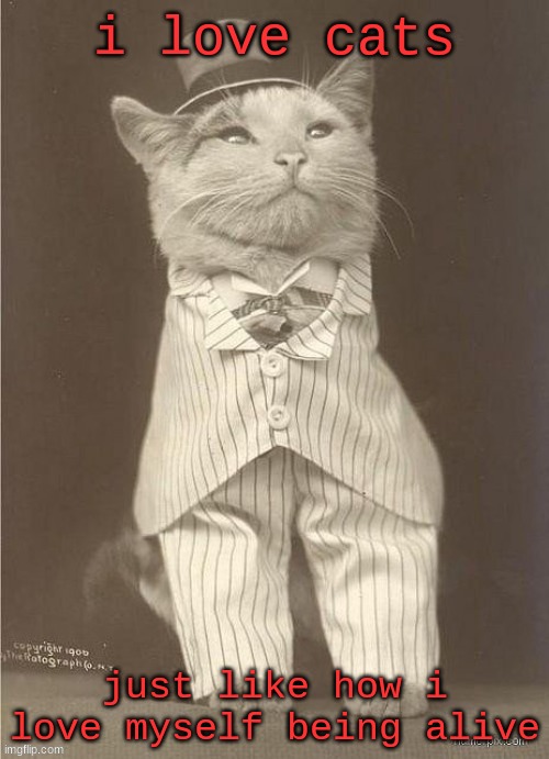 i love cats; just like how i love myself being alive | made w/ Imgflip meme maker